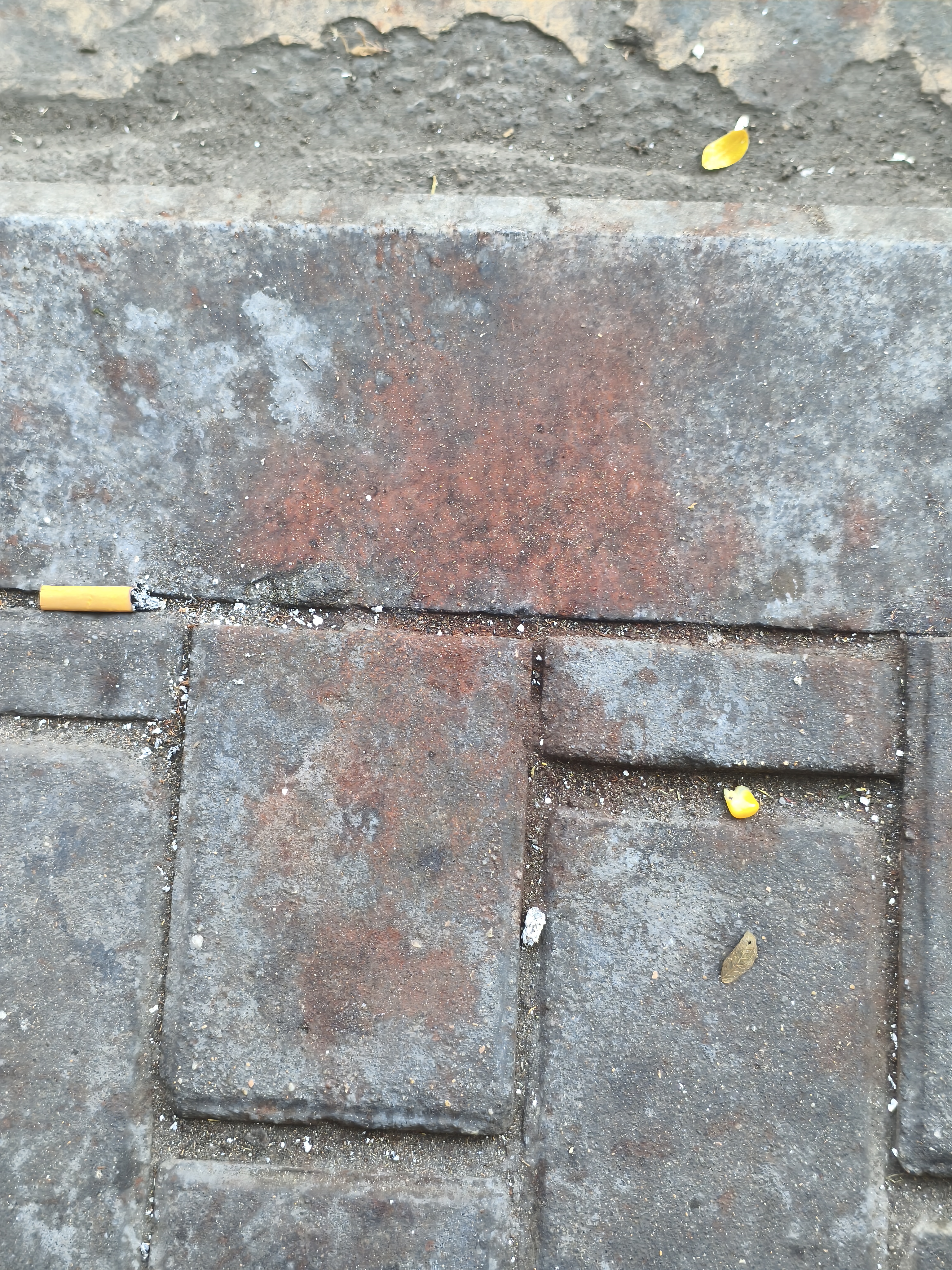 57c88e64efe7dfba0c84ebb4fa83d44