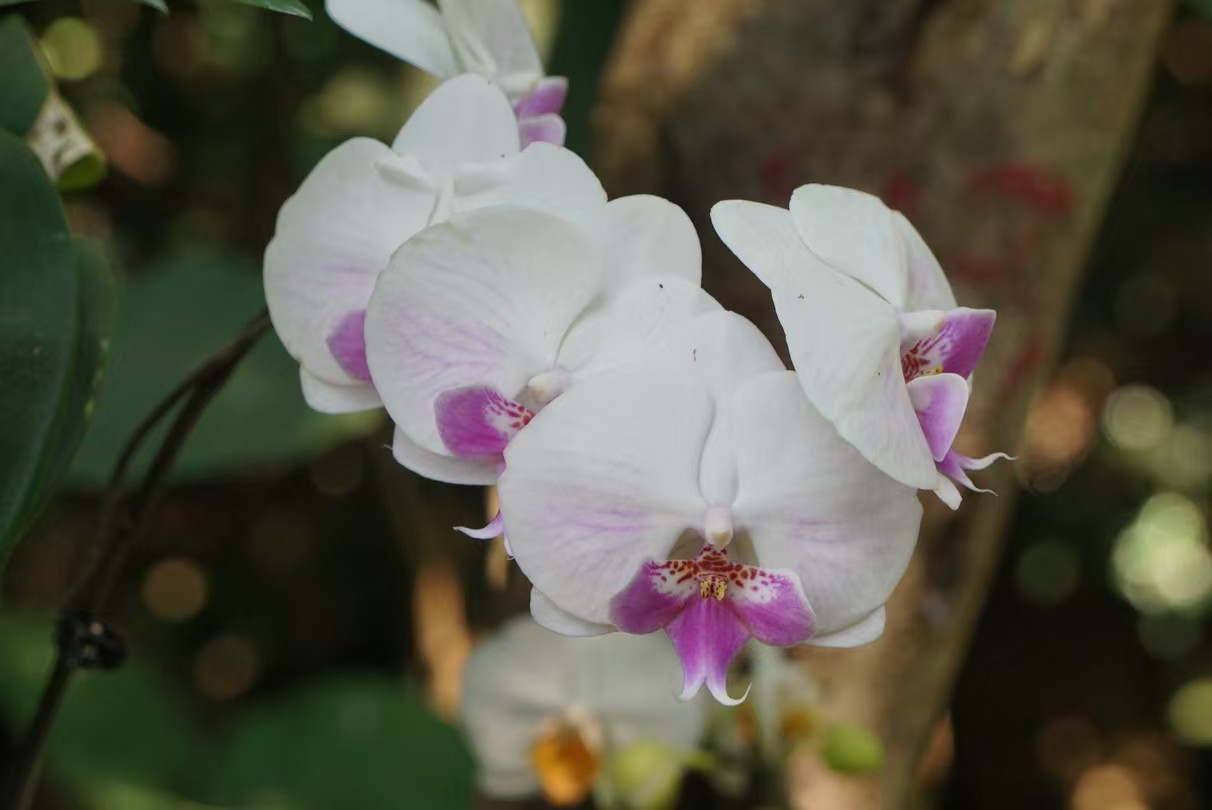 869bde7cd3118049876a956056192f3