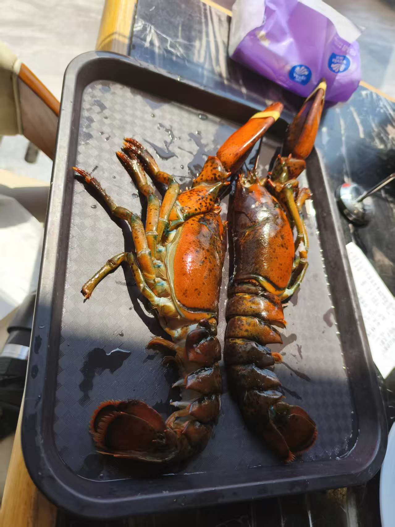 9028a3e3b6e006091c5f4226c012f04